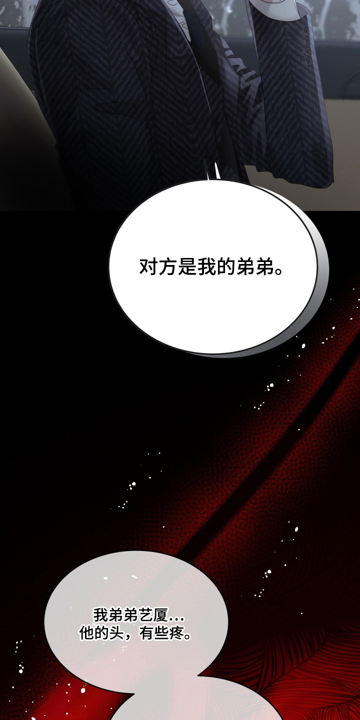 欧米伽的伪装 - 替身 - 第28页