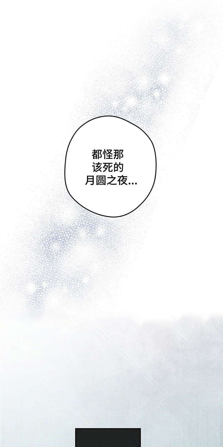 狼人之恋 - 月圆之夜 - 第17页