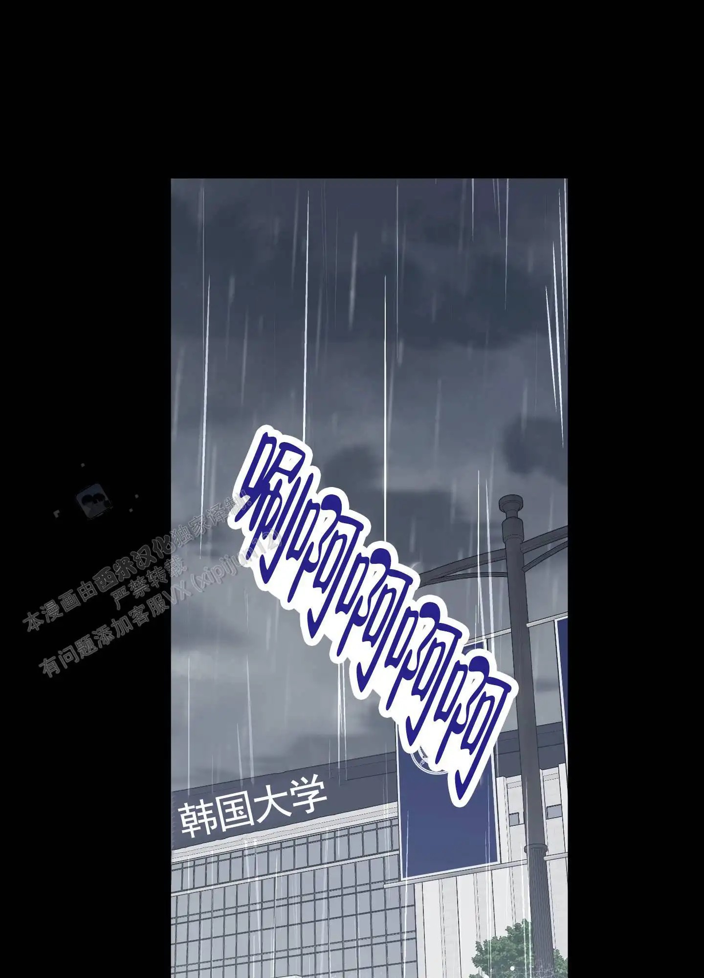 我的猫系男友 - 相识 - 第28页
