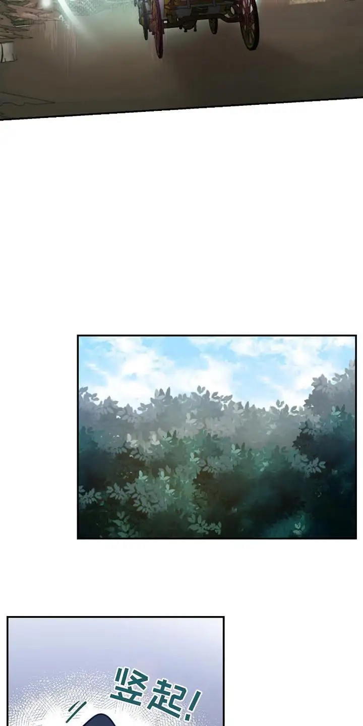 公爵的另一面 -   - 第20页
