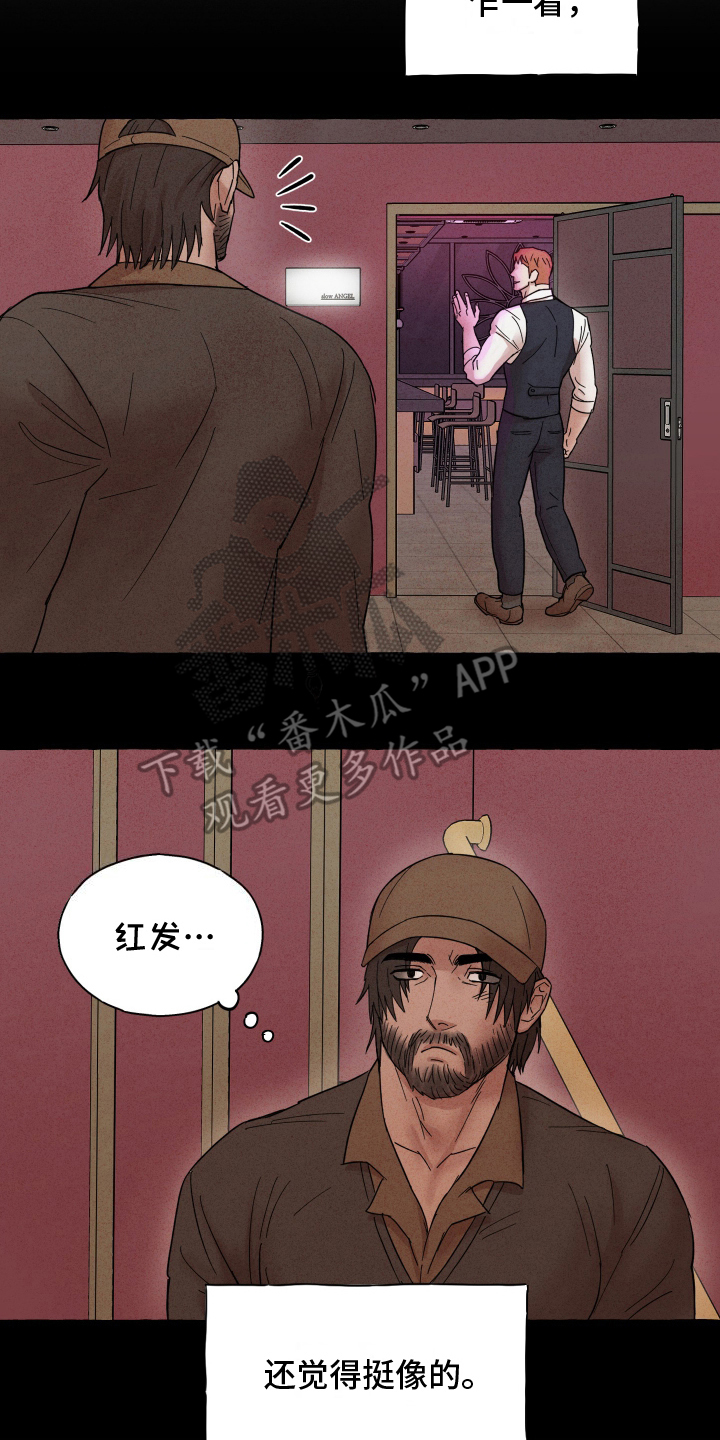 疯狂试探 - 真是他 - 第13页
