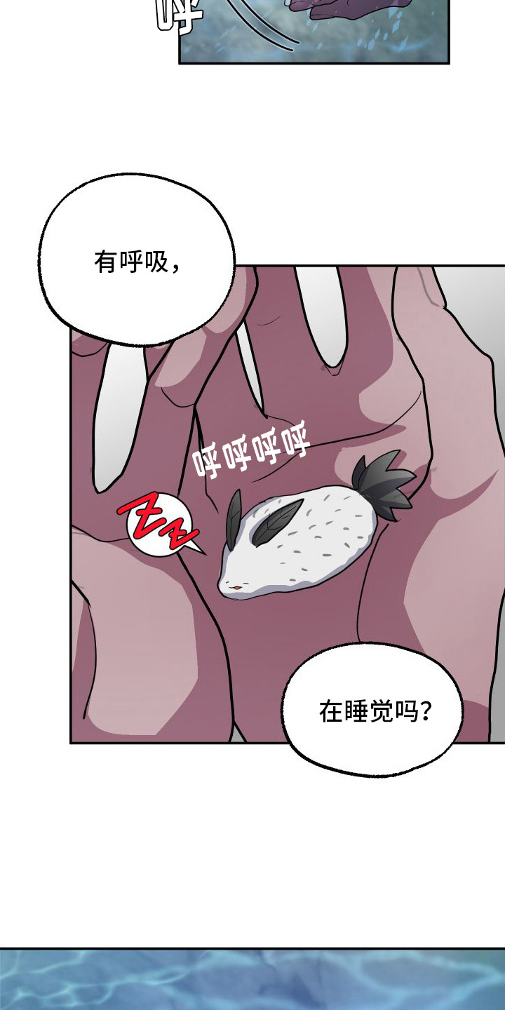 鲨鱼的新娘 - 捡回家 - 第13页