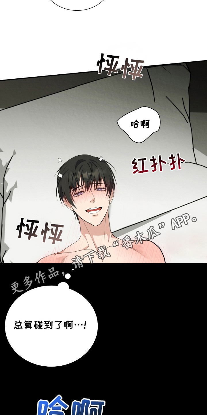 欧米伽套餐 - 窥屏 - 第12页