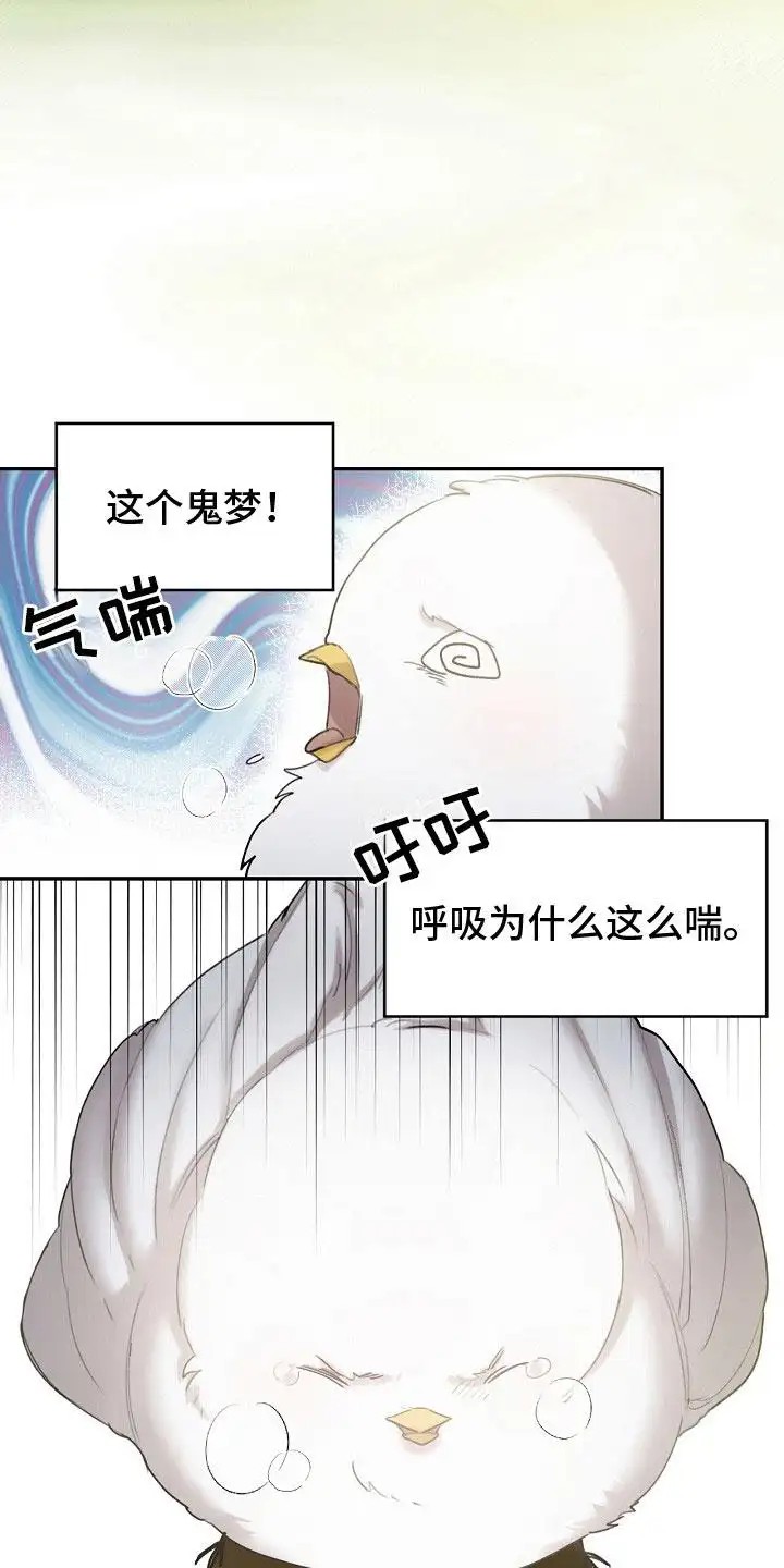 白鸟奇遇记 - 白色小鸟 - 第14页