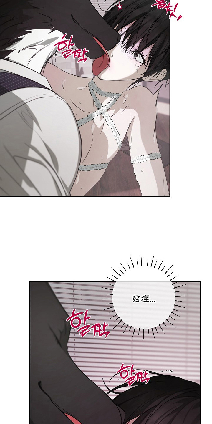 塔中猎物 - 狼人 - 第14页