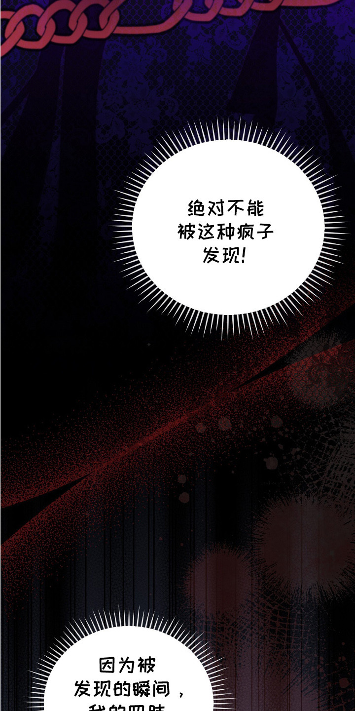 疯批大公的玩偶 - 棉花娃娃 - 第26页