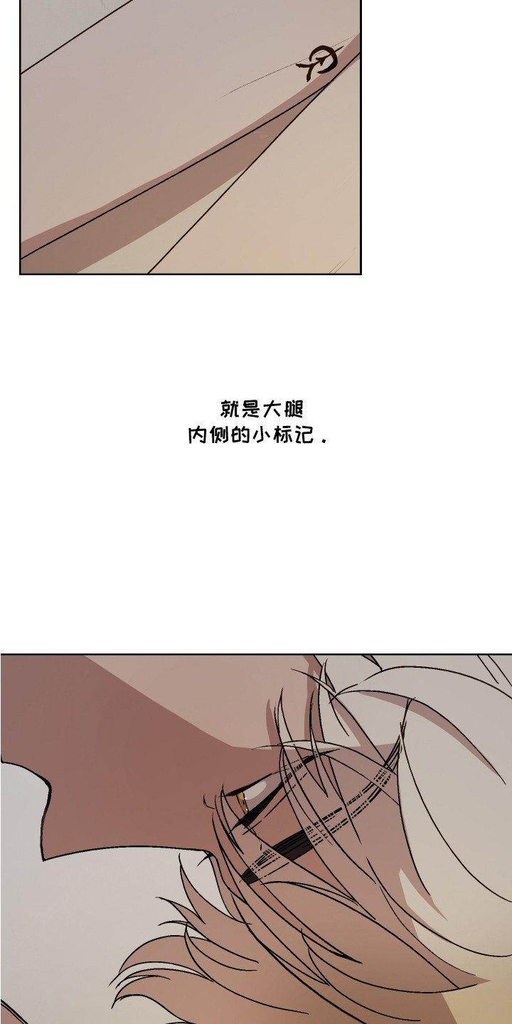 白虎之王 - 神兽 - 第10页