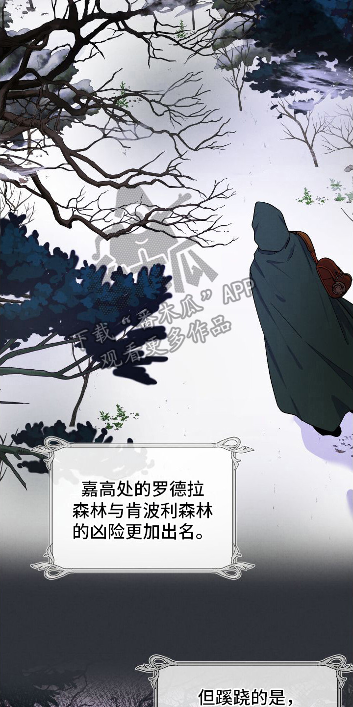 生命之花 - 下雪了 - 第22页