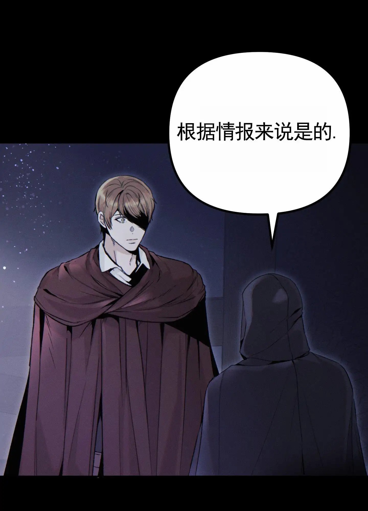 婚约陷阱 - 庆典 - 第12页