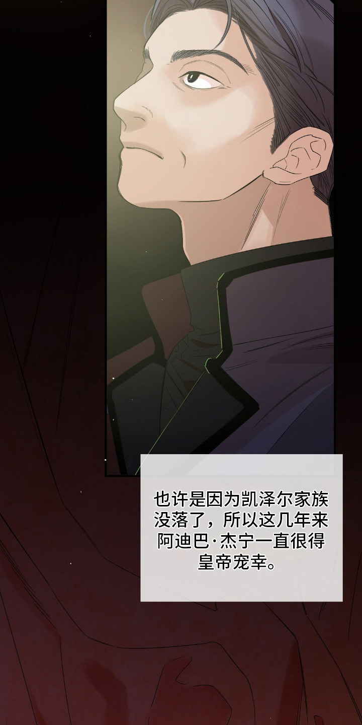 月光骑士 - 政敌 - 第20页