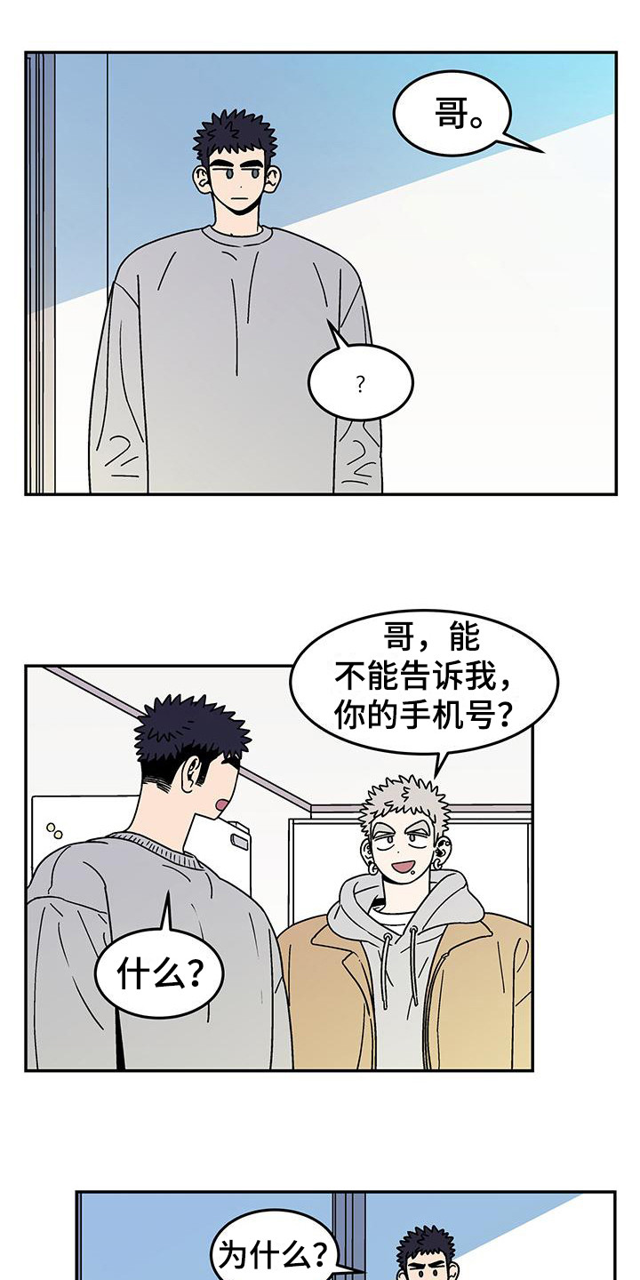 狗子的春天 - 提议 - 第7页