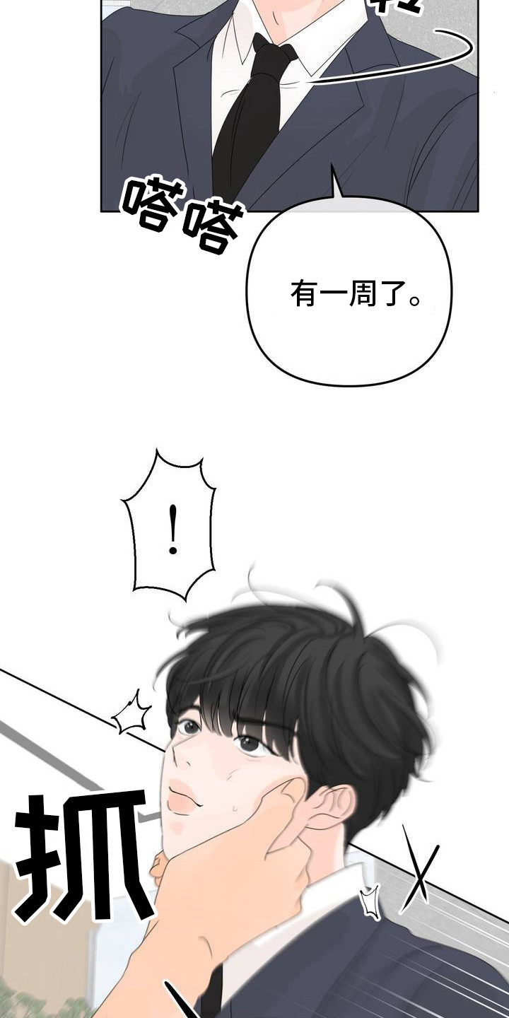 反转香水 - 香水 - 第16页