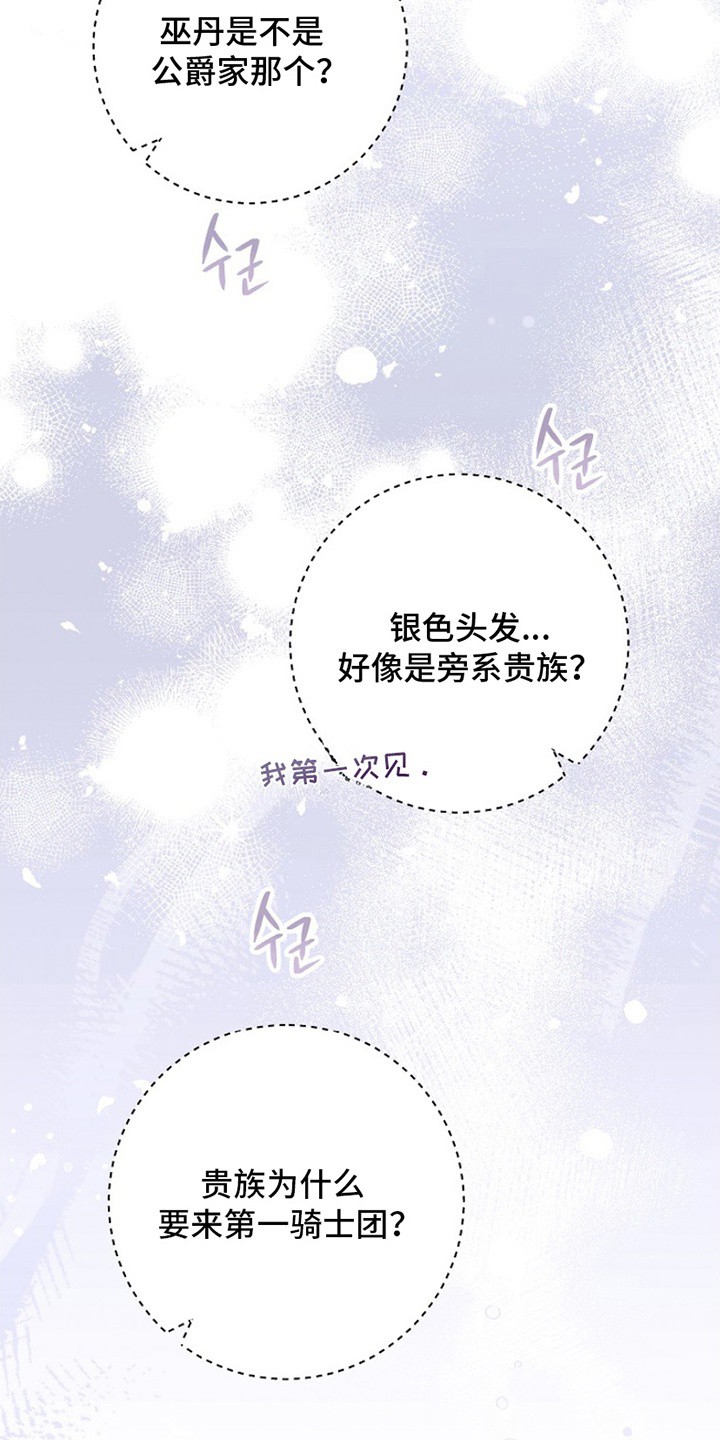 爱上骑士团团长 - 区别对待 - 第27页