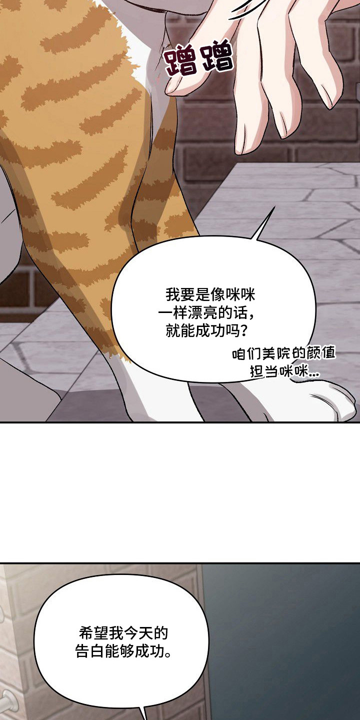 亲爱的杀手 - 告白计划 - 第20页