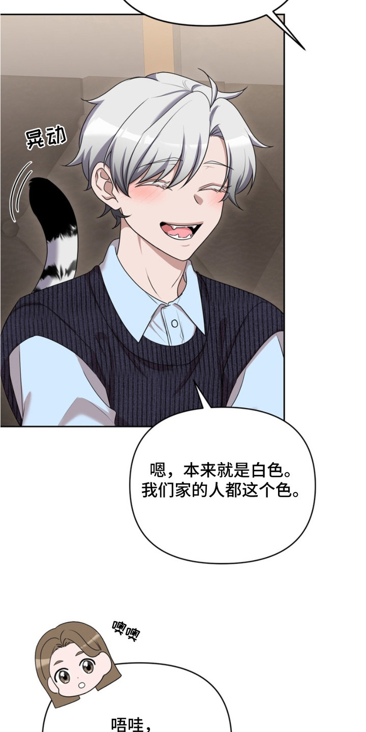 虎落兔口 - 兽人 - 第16页