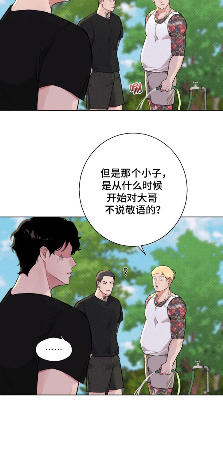 爱情岛 - 计划通 - 第27页