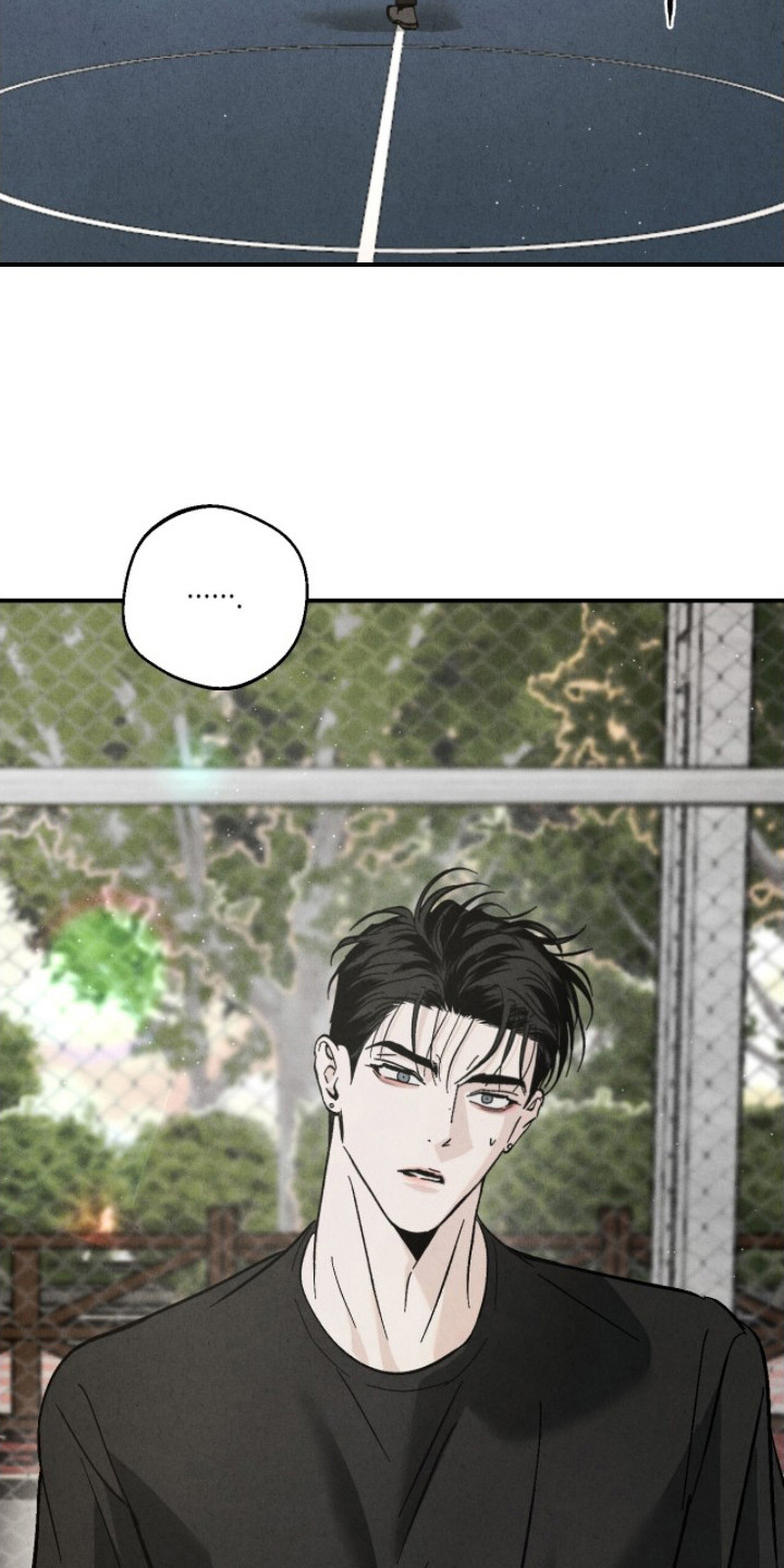 不透明关系 - 第二属性 - 第17页
