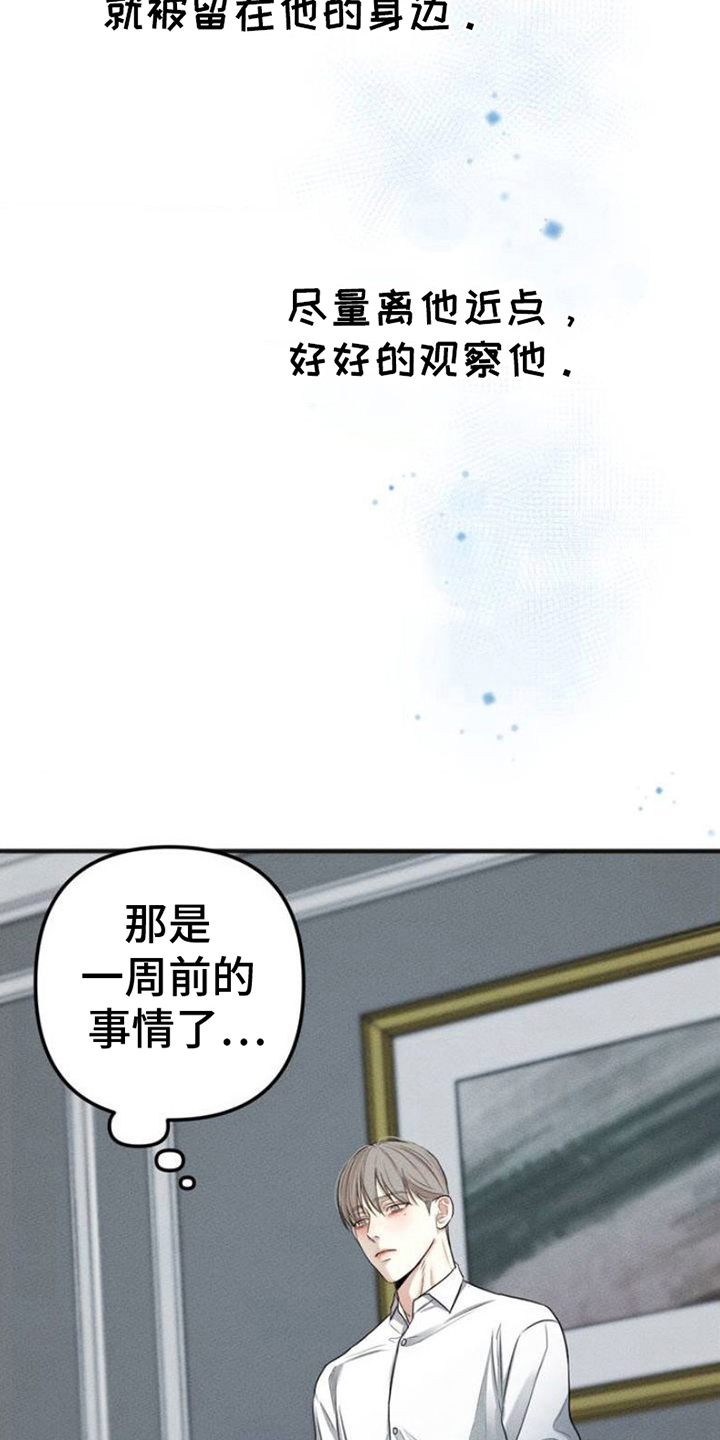 欲望深渊 - 放过 - 第19页