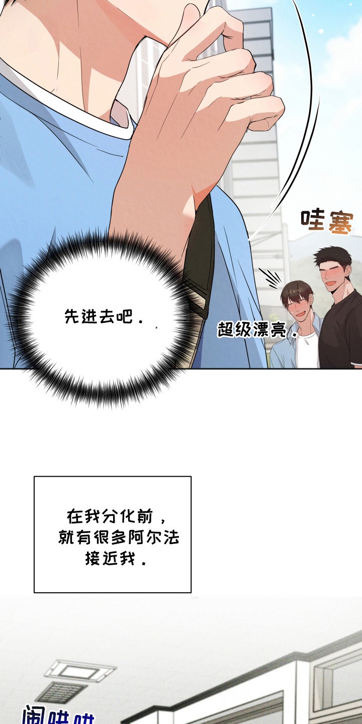 欧米伽套餐 - 特别套餐 - 第5页