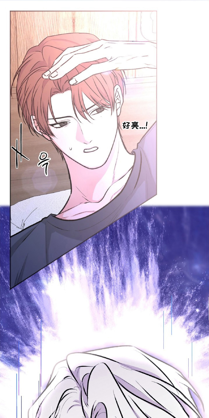 外星观察者 - 数据探索 - 第37页