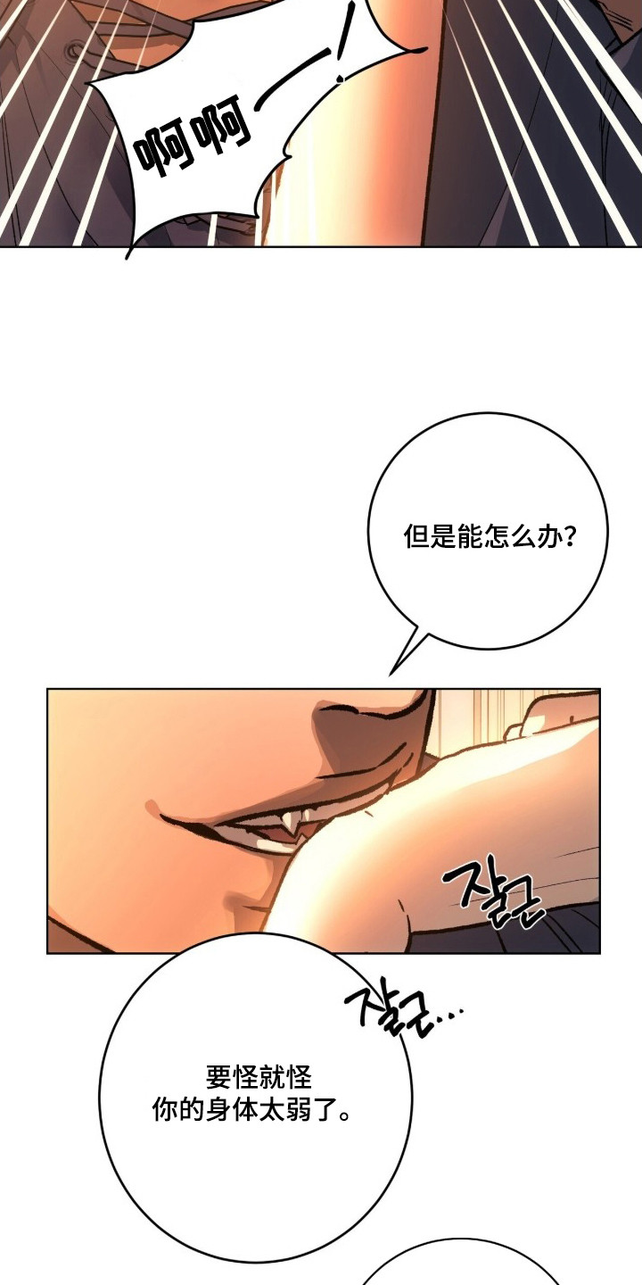 救赎之烬 - 躲不开 - 第11页