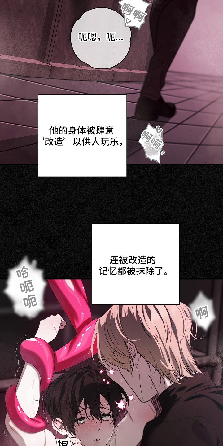 塔中猎物 - 外星球 - 第14页