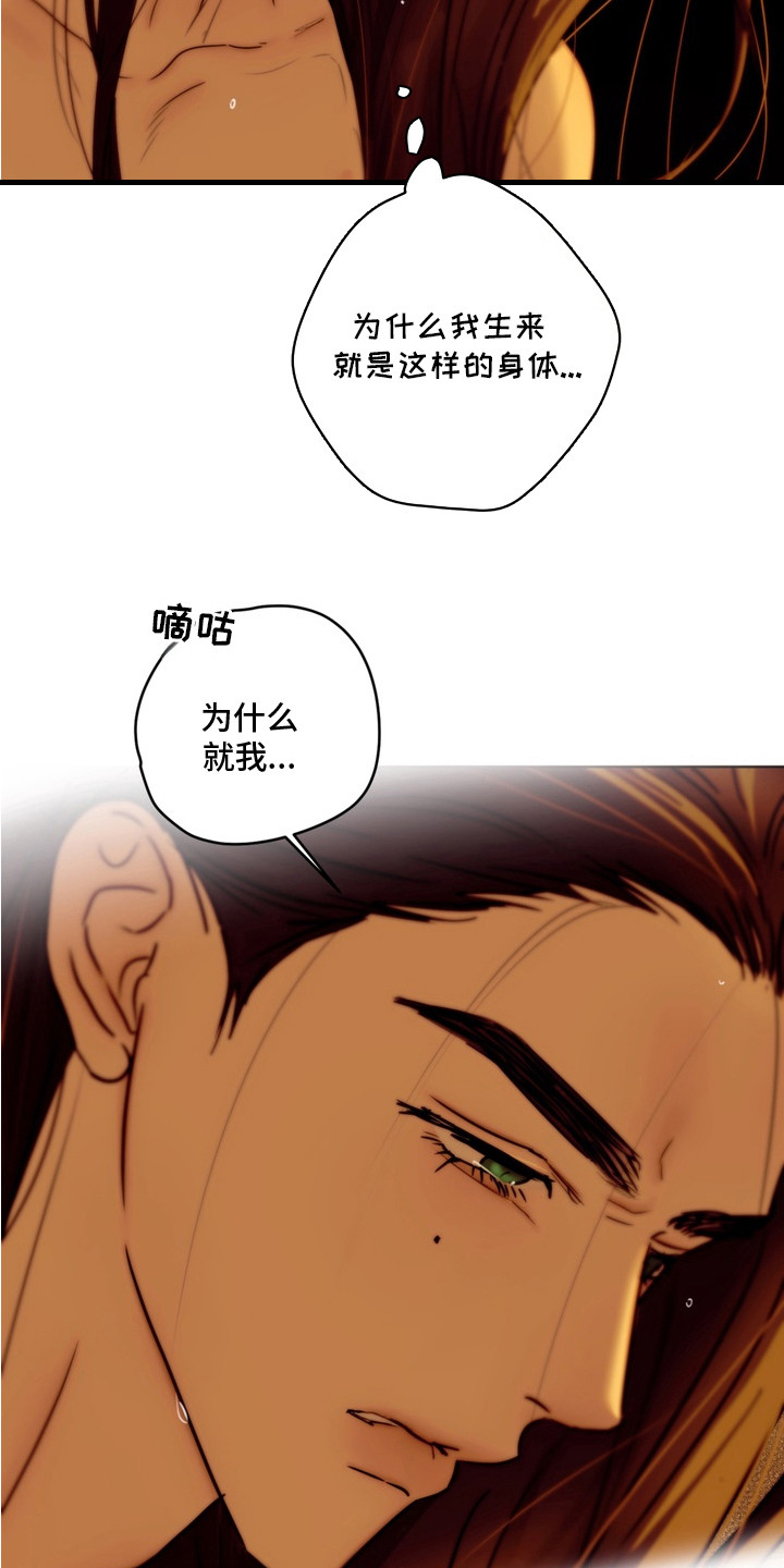 内在爱孪罪牢笼 - 庆幸 - 第20页