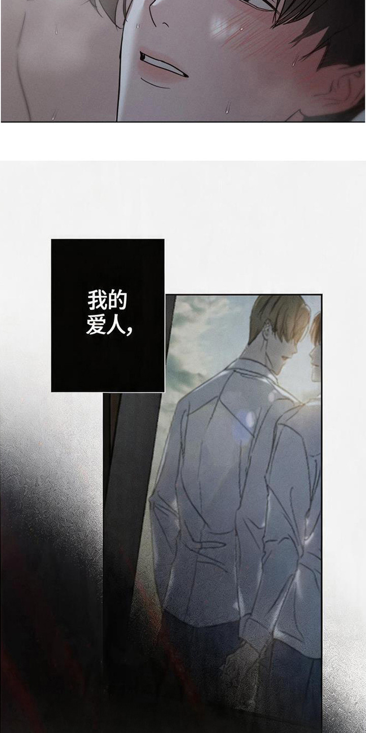 爱意沉寂 - 你是谁 - 第14页