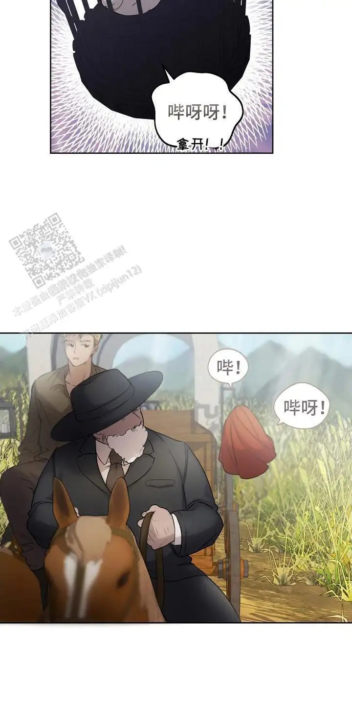 白鸟奇遇记 - 是真的 - 第18页