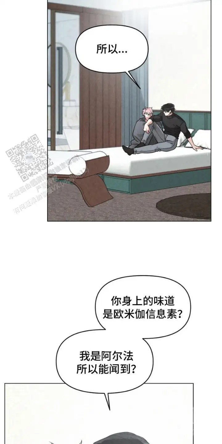 私人定制 - 腰酸背痛 - 第13页