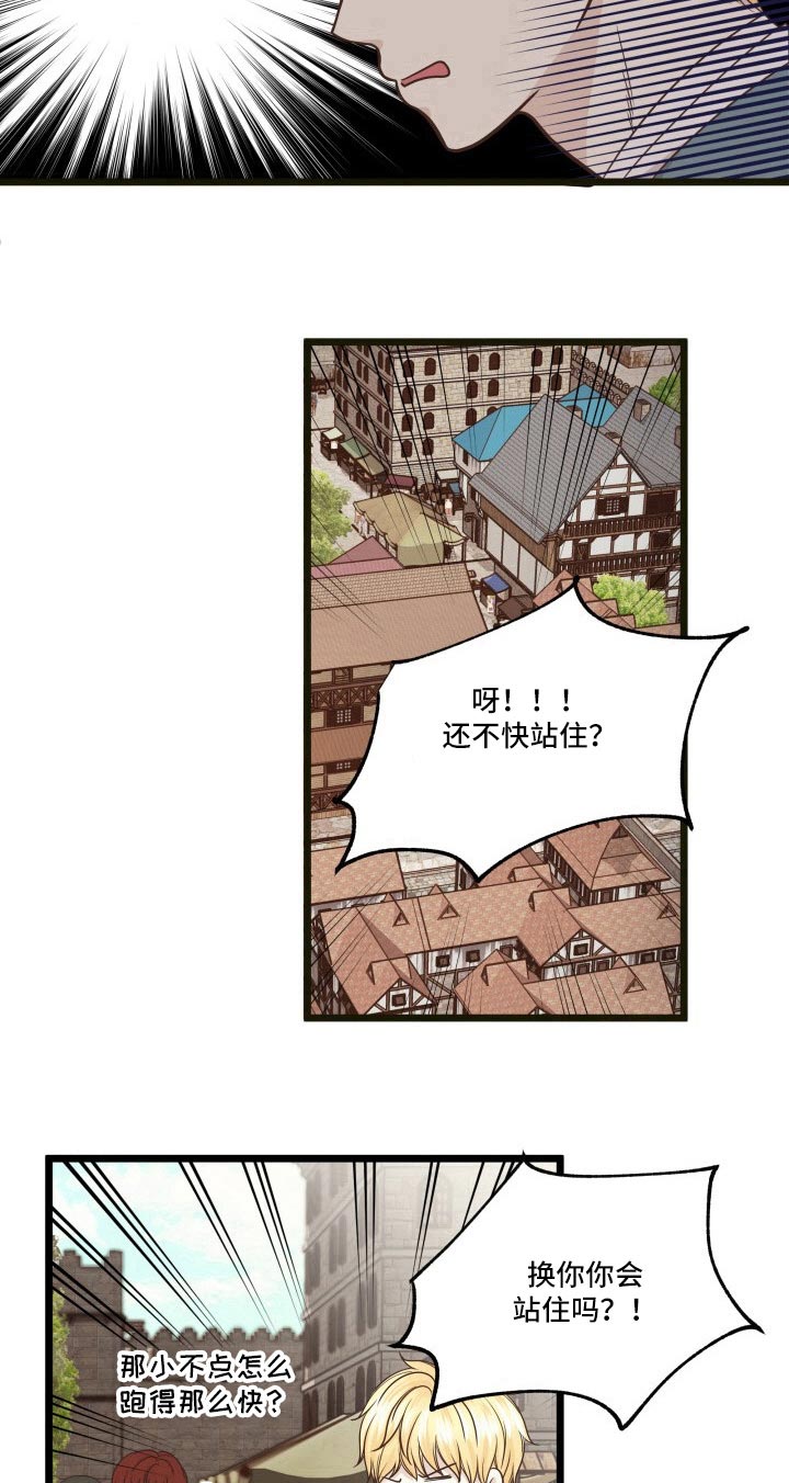 与王子假扮情侣 -   - 第17页