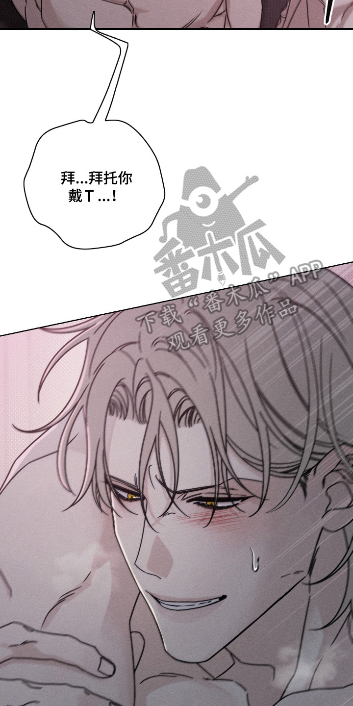 黑道规则 - 狗东西 - 第19页