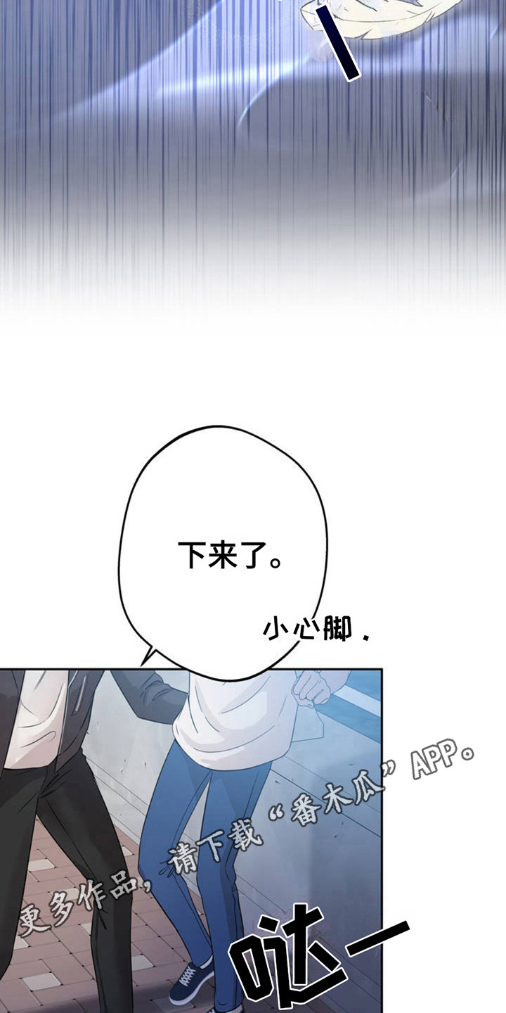 天使之吻 - 天使 - 第12页