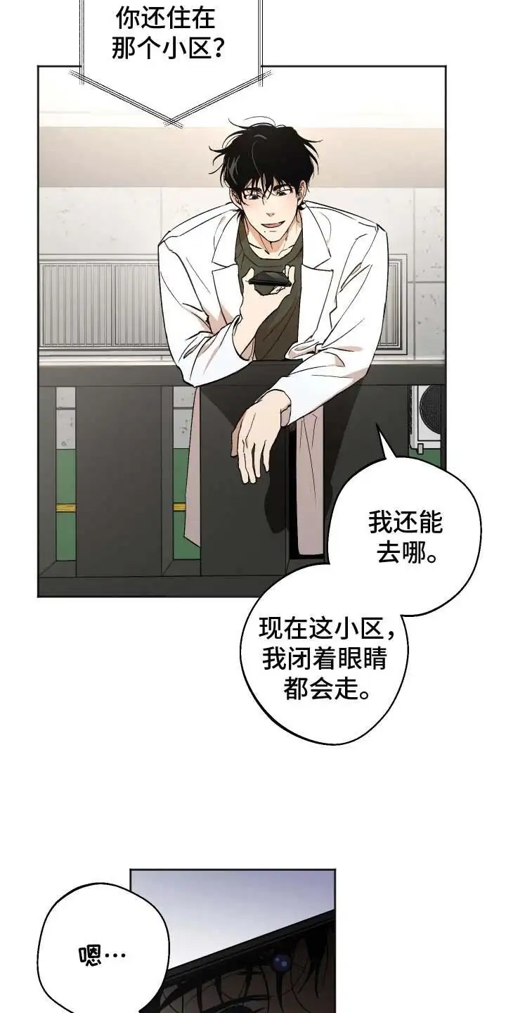 前世的祈愿 - 突如而来的消息 - 第22页