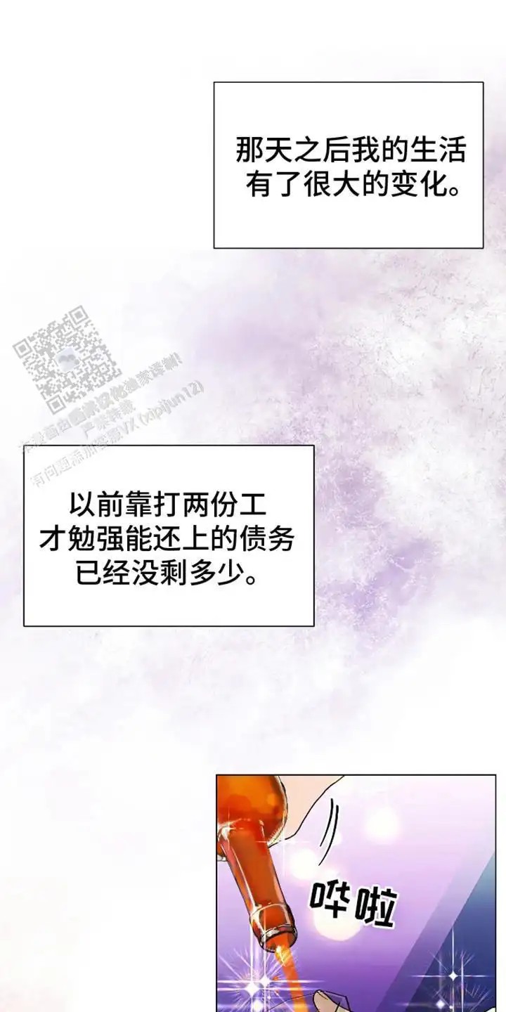 坏苹果替代品 - 计划成功 - 第17页