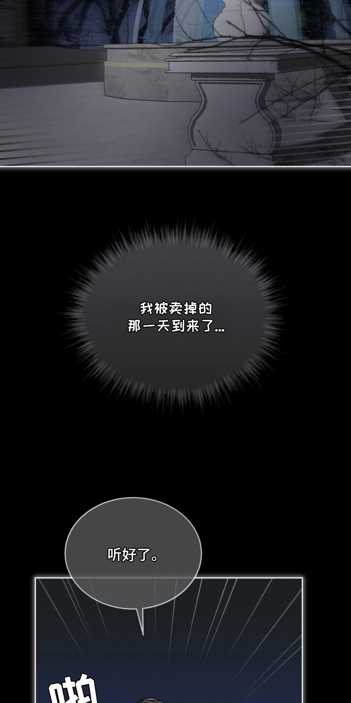 被驯养的商品 - 是买我的人吗 - 第12页