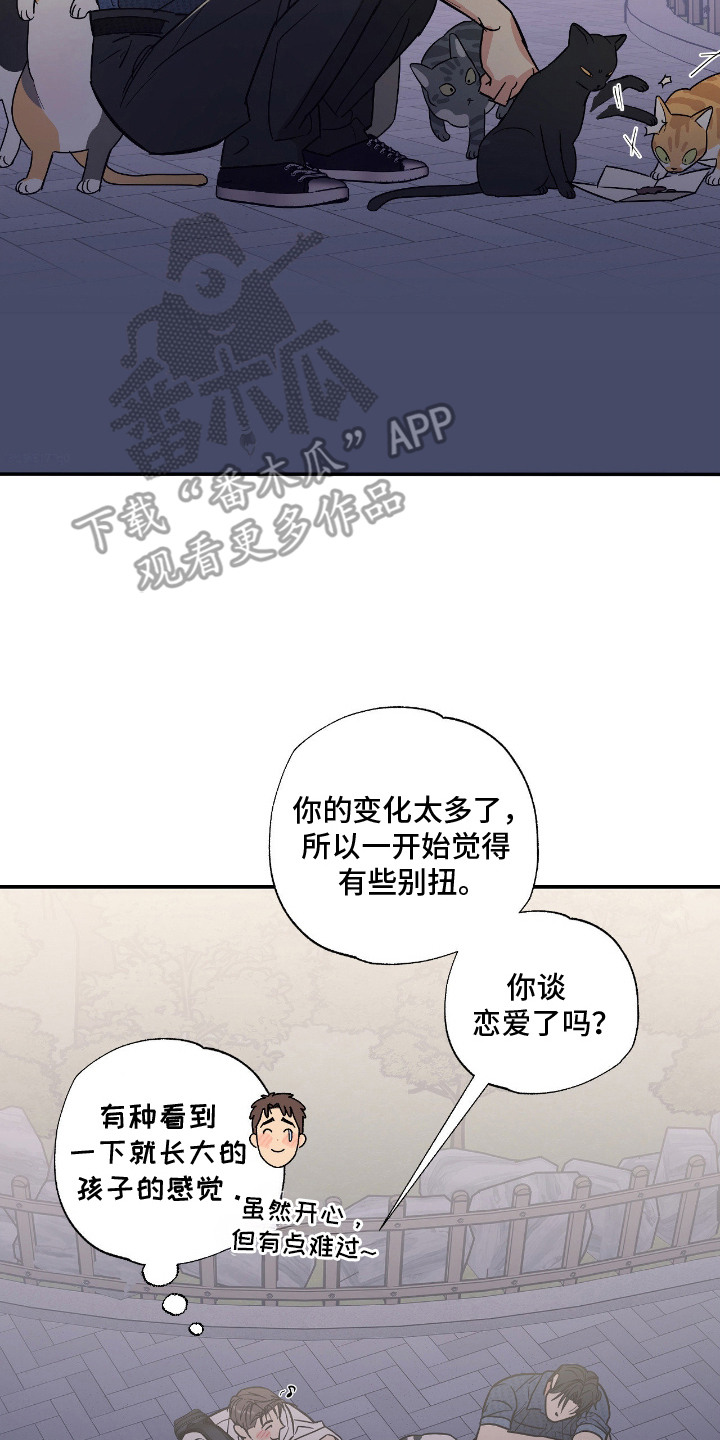 猫大爷和我 - 野猫 - 第15页