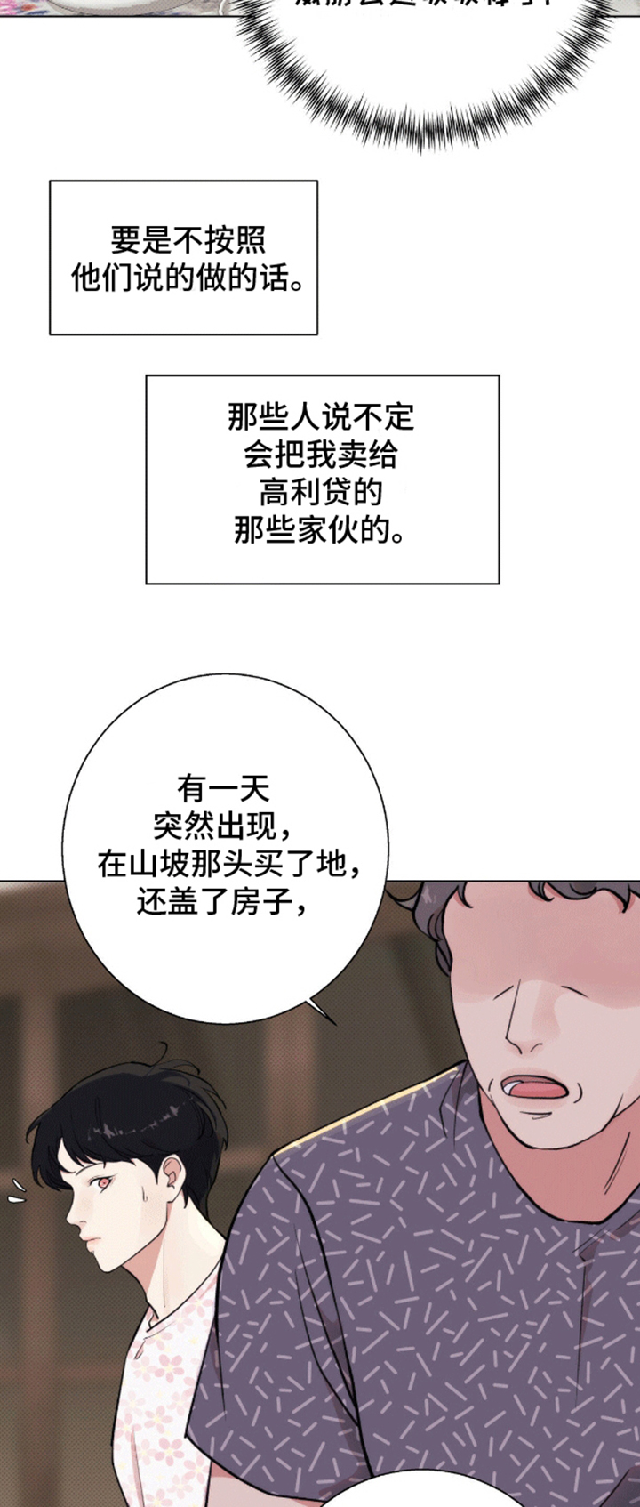 爱情岛 - 办法 - 第13页