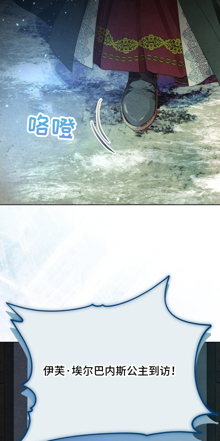冰封的王嫁 - 公主到访 - 第13页
