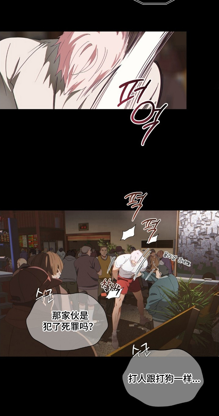MIGNON - 违反规则 - 第21页