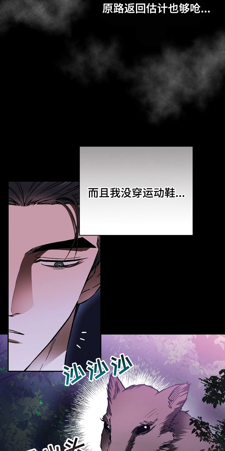 猛兽育儿书 - 猪突猛进 - 第17页