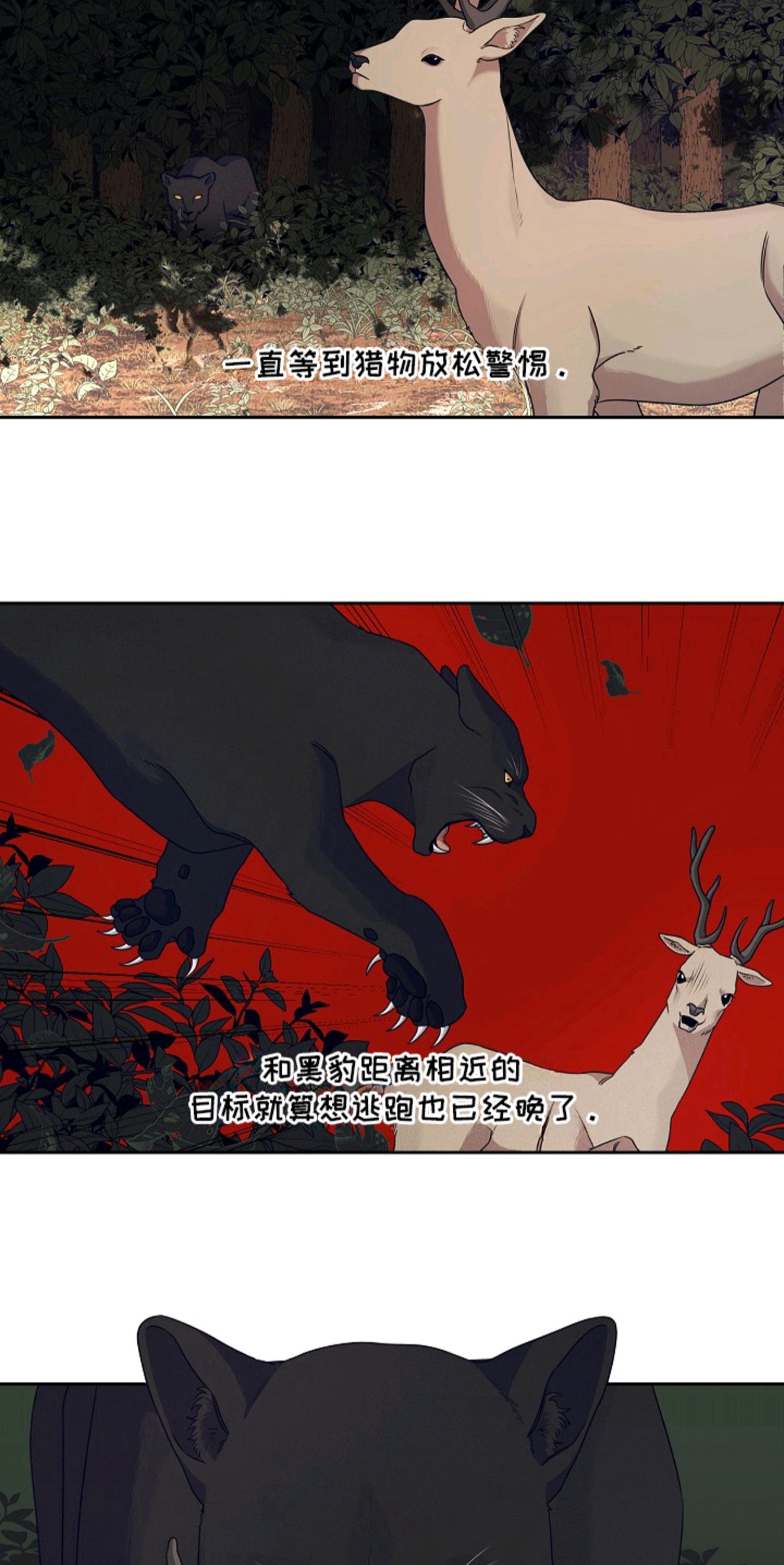 侵蚀黑豹与项圈 - 邀约 - 第6页