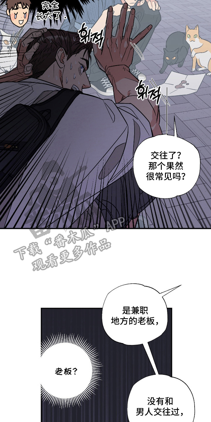 猫大爷和我 - 野猫 - 第18页