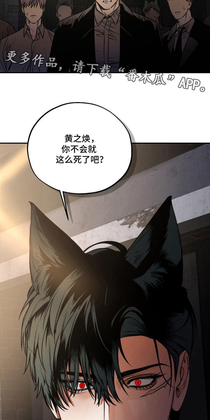 兔入狐窝 - 恩怨纠葛 - 第15页