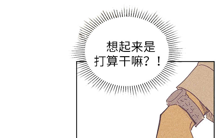 开或关 - 青春太肤浅 - 第23页