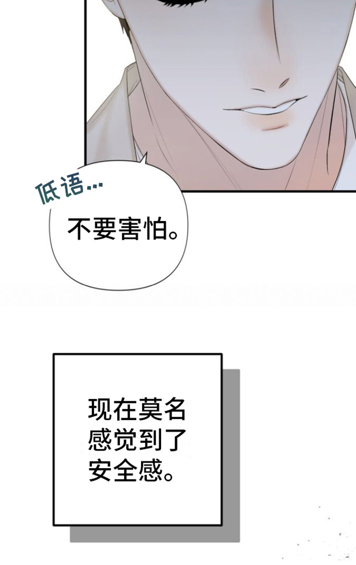 向导指南 - 保护 - 第22页