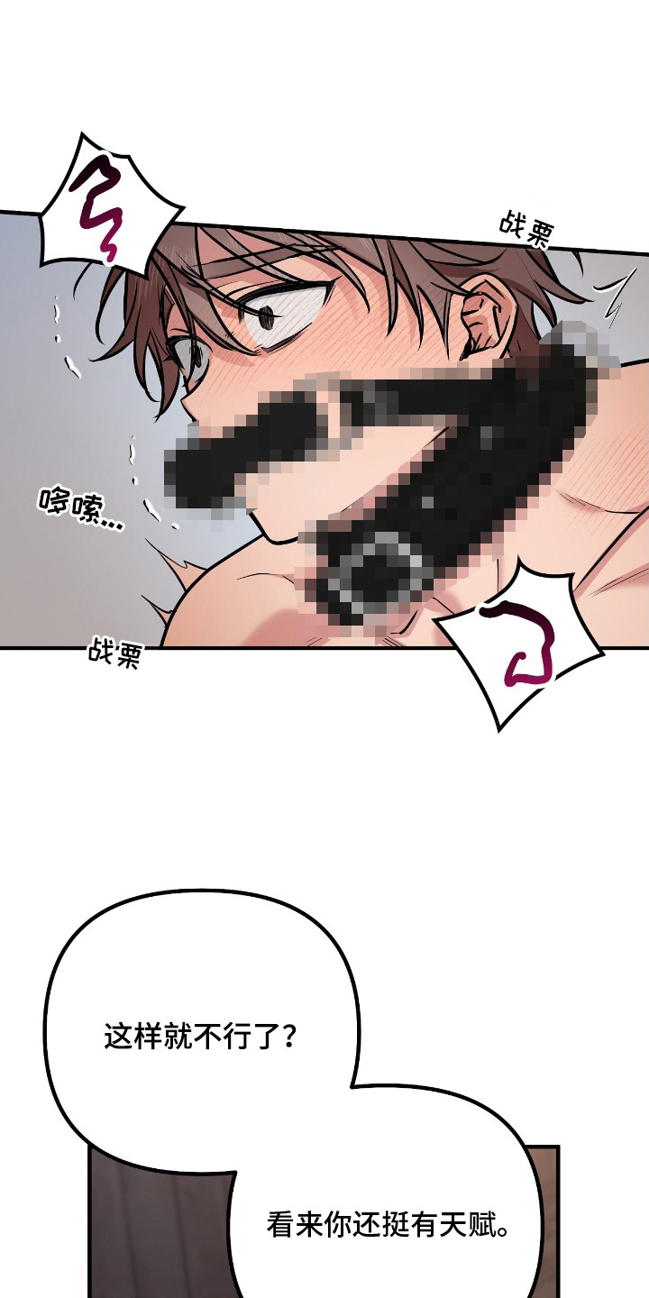 活体快递 - 特殊快递 - 第10页