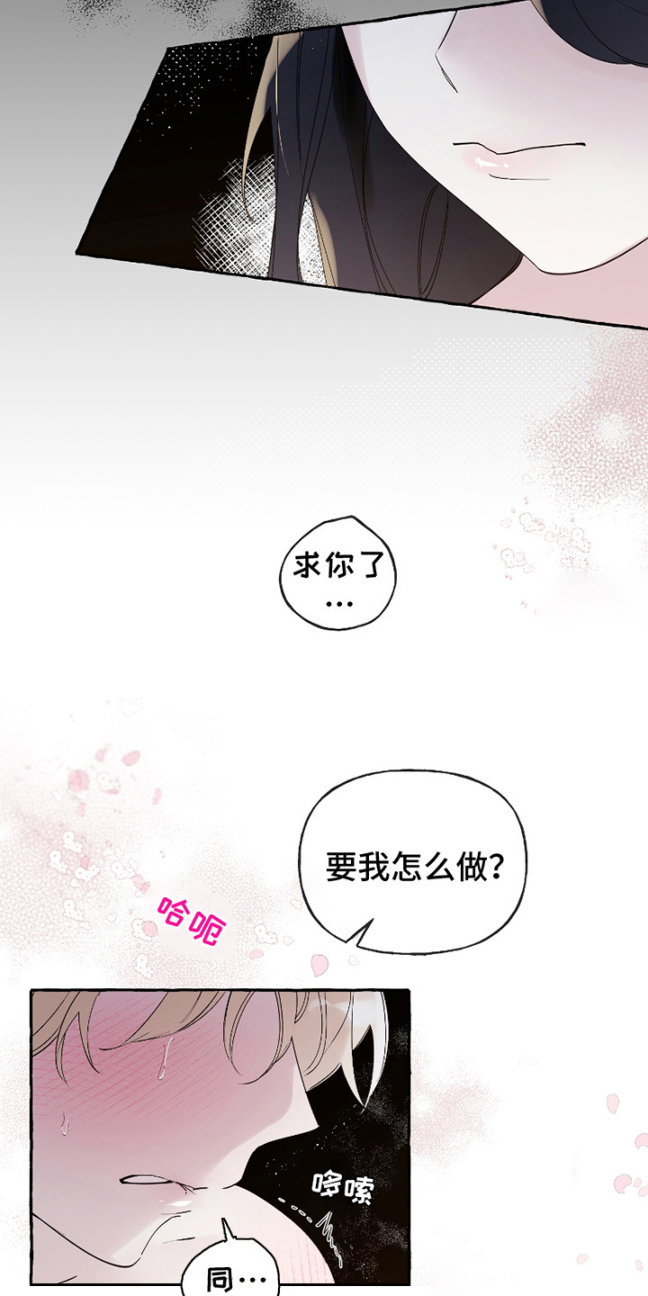 皇宫院子里的狗 - 独特的夜晚 - 第10页