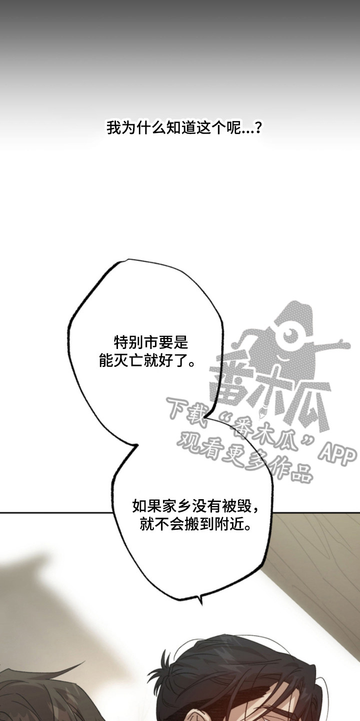 双生悲愿 - 病秧子 - 第21页