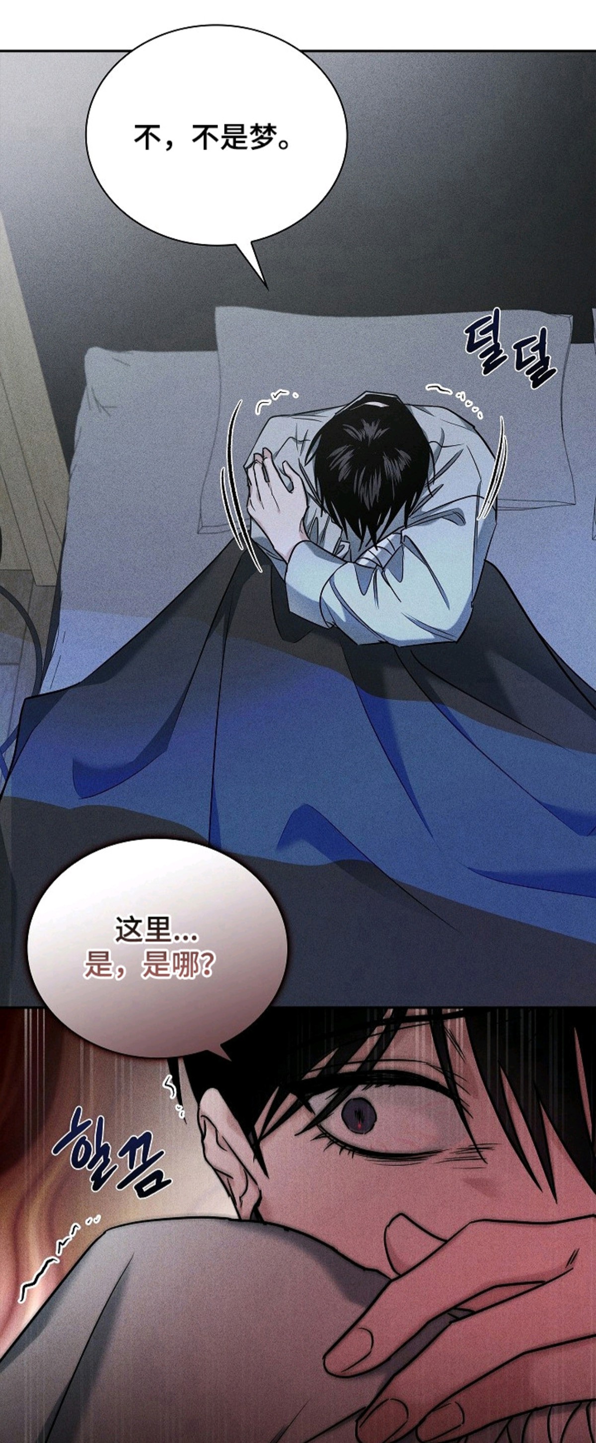 审讯室月光 - 医生 - 第13页